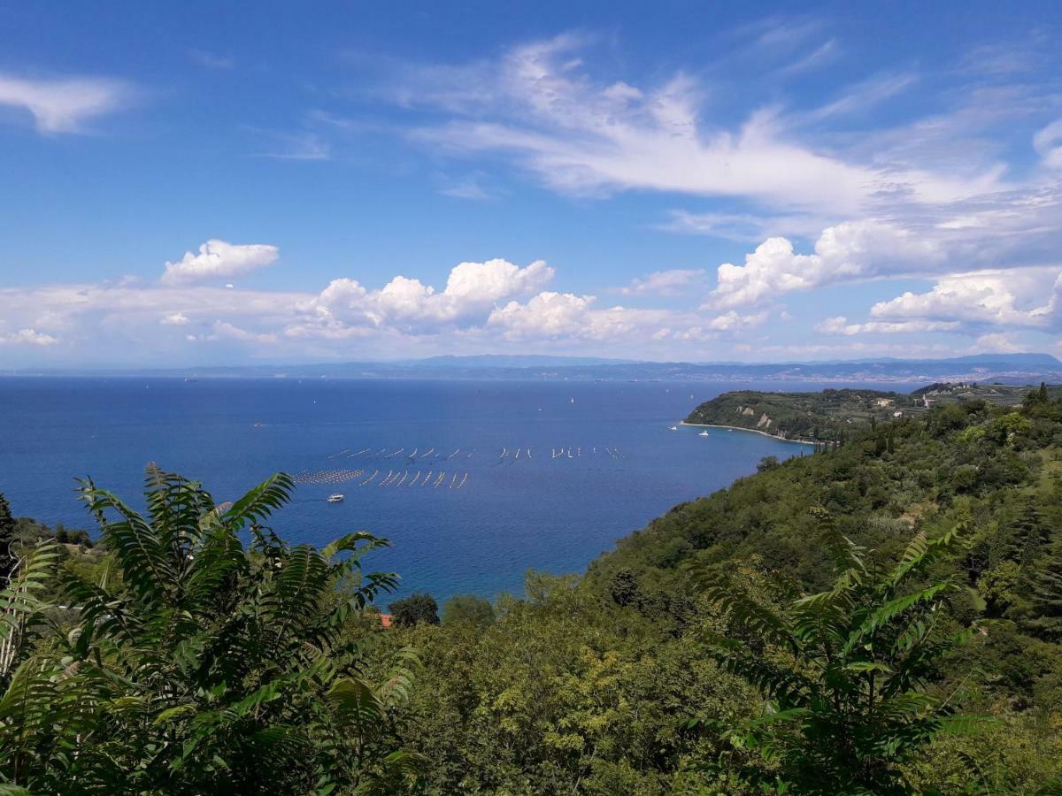 Apartma Kocevar Portorož Exterior foto